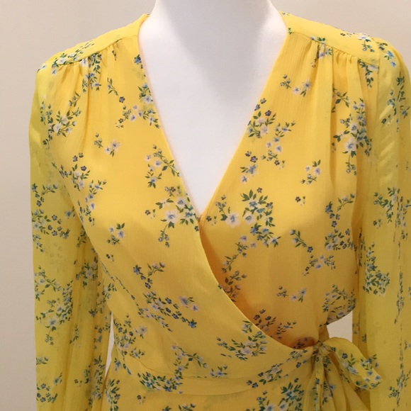 Banana Republic Ruffle-Wrap Dress - Picture 3 of 8